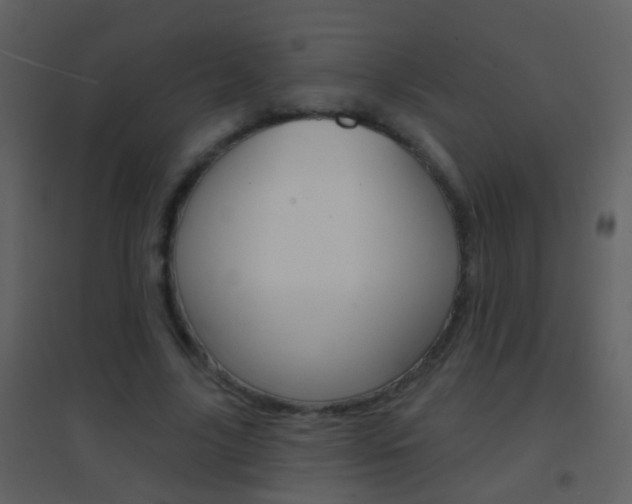 X0000095530635200712140935