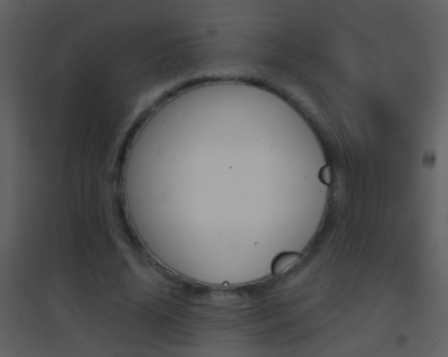 X0000095530636200712140935