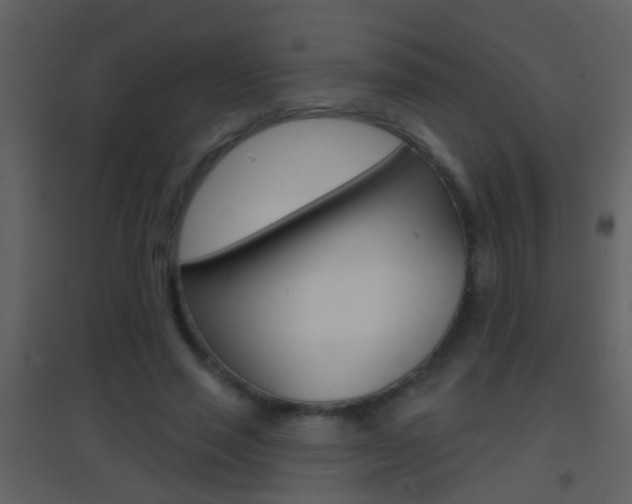 X0000095530637200712140935