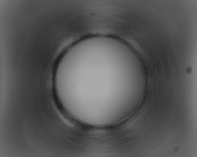 X0000095530638200712140935