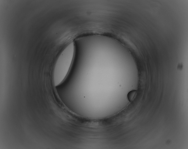 X0000095530639200712140935