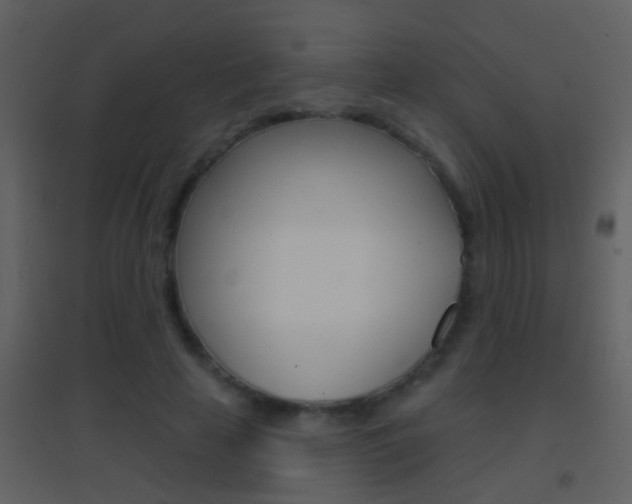 X0000095530641200712140935