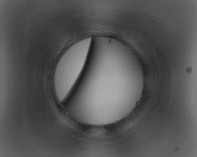 X0000095530642200712140935