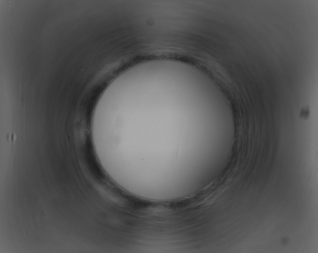 X0000095530644200712140935
