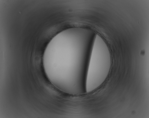 X0000095530645200712140935