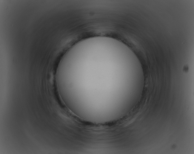 X0000095530646200712140935