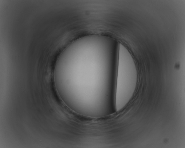 X0000095530647200712140935