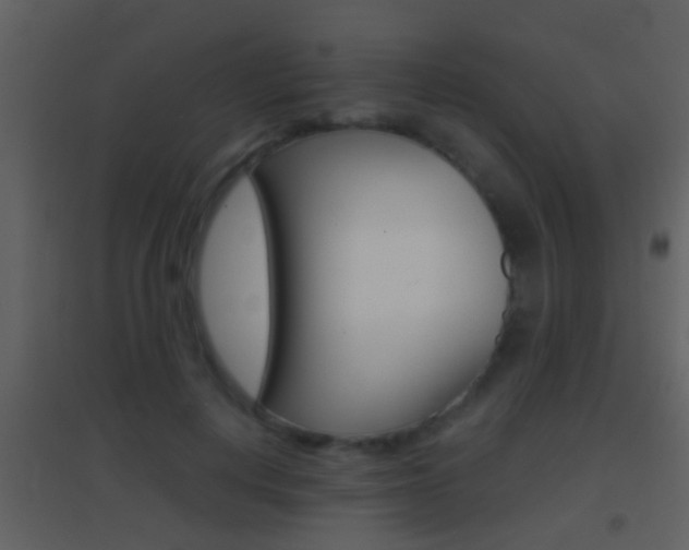 X0000095530648200712140935
