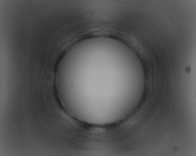 X0000095530649200712140935