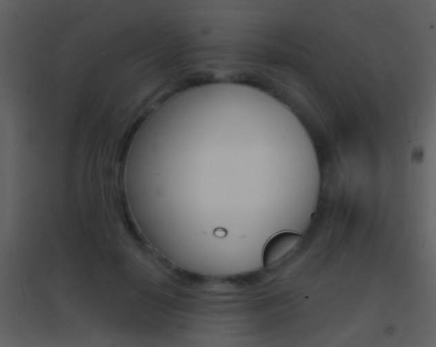 X0000095530650200712140935