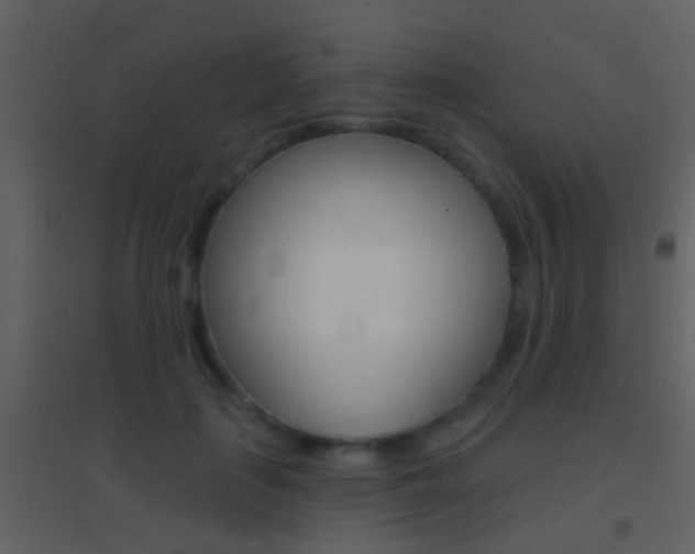 X0000095530651200712140935