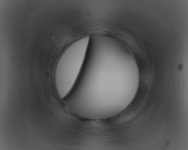 X0000095530652200712140935