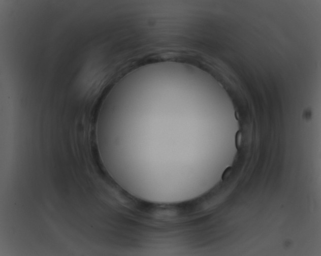 X0000095530653200712140935
