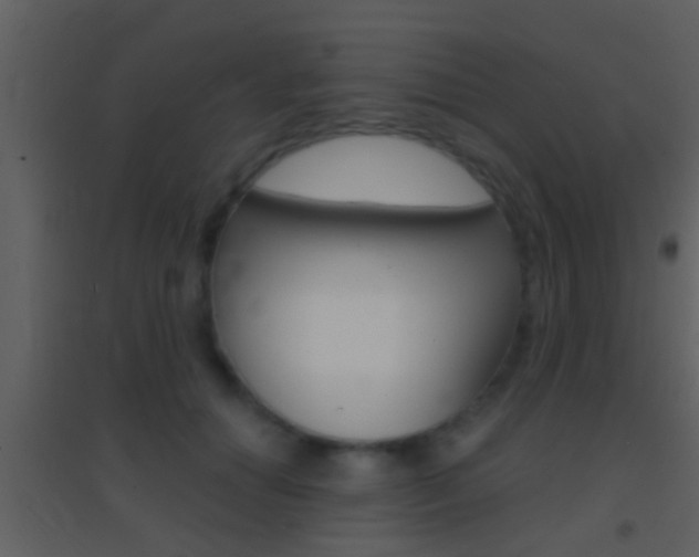 X0000095530654200712140935