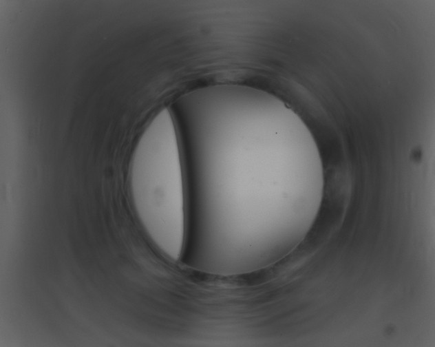 X0000095530655200712140935