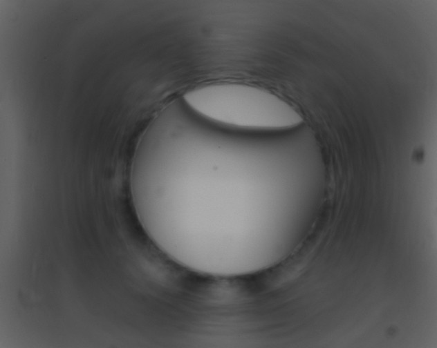 X0000095530656200712140935