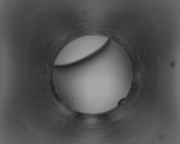 X0000095530658200712140935