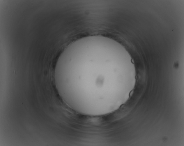 X0000095530659200712140935