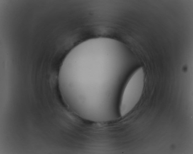 X0000095530660200712140935
