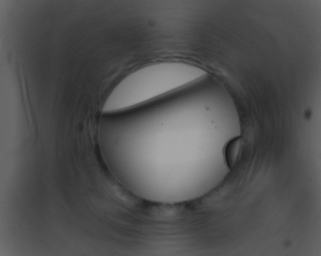 X0000095530661200712140935