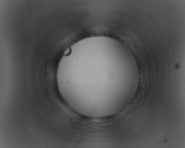 X0000095530662200712140935