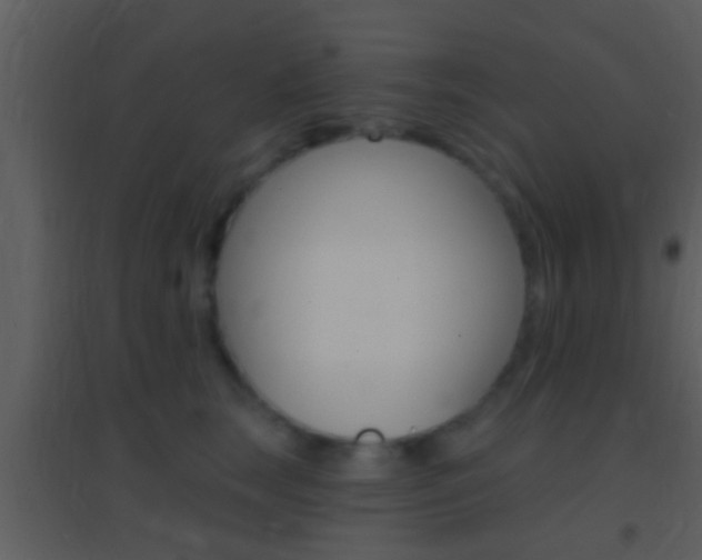 X0000095530663200712140935