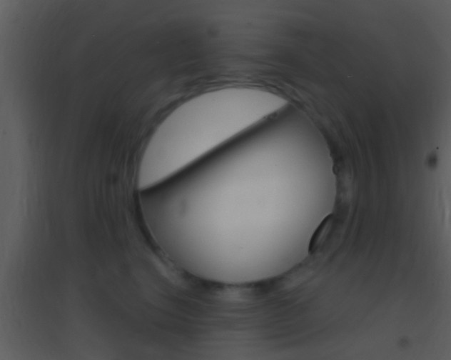 X0000095530664200712140935