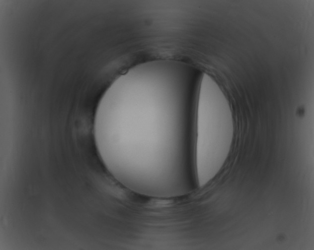 X0000095530665200712140935