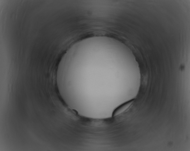 X0000095530666200712140935