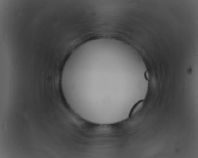 X0000095530668200712140935