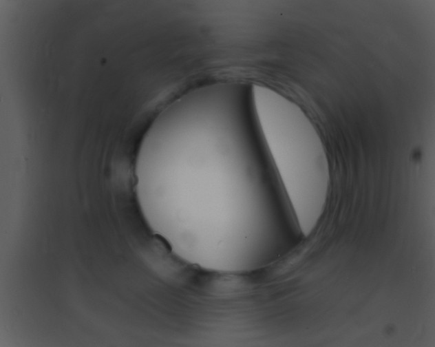 X0000095530669200712140935