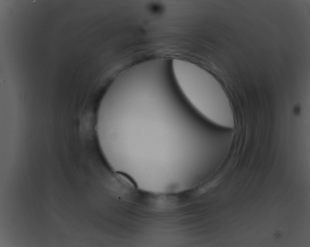 X0000095530670200712140935
