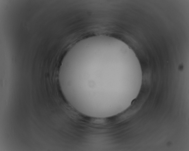 X0000095530671200712140935