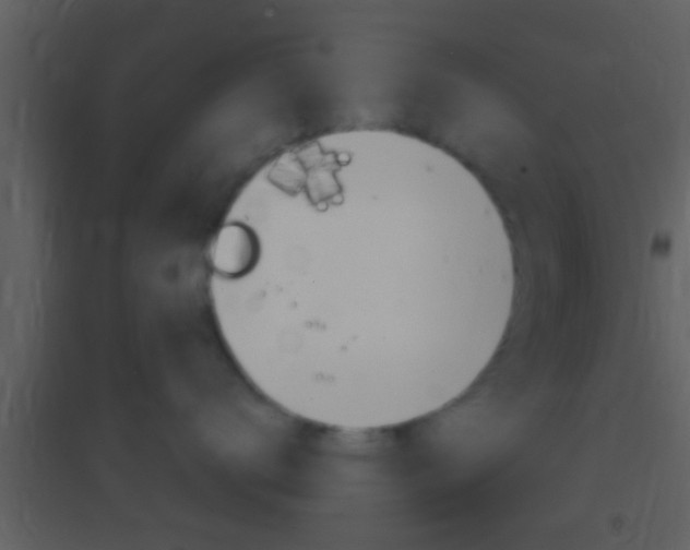 X0000095530672200712140935