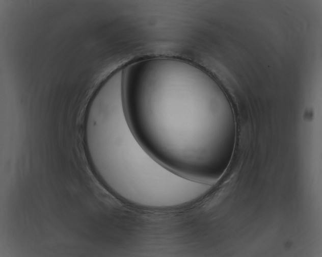 X0000095530673200712140935