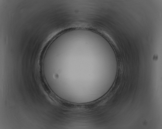 X0000095530674200712140935