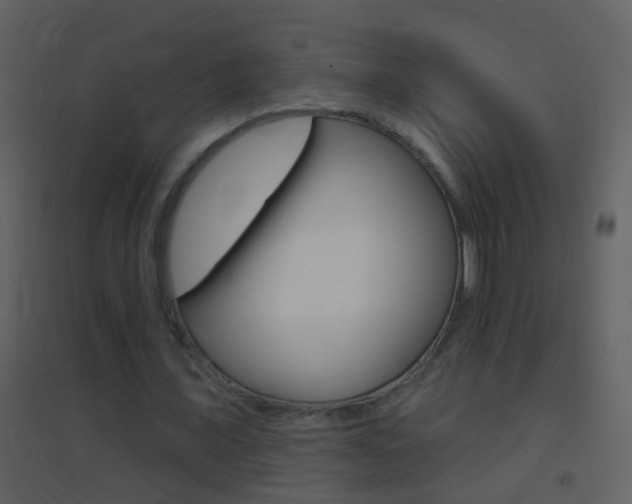 X0000095530675200712140935