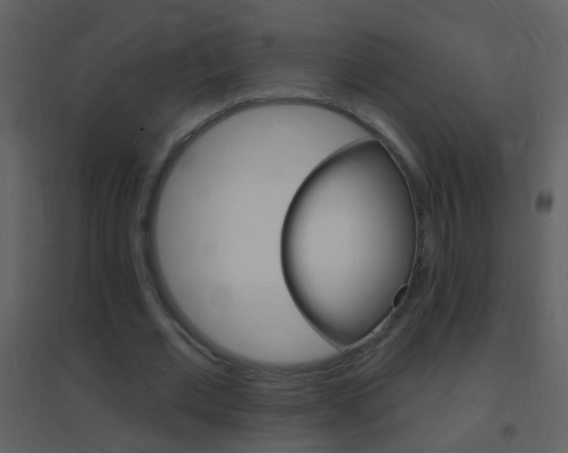 X0000095530677200712140935