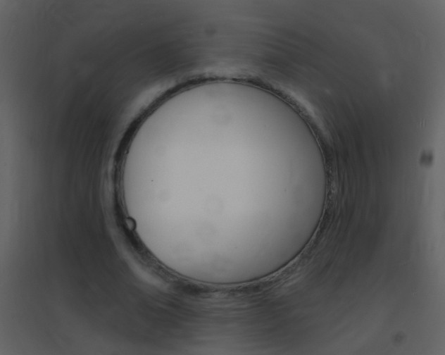 X0000095530678200712140935