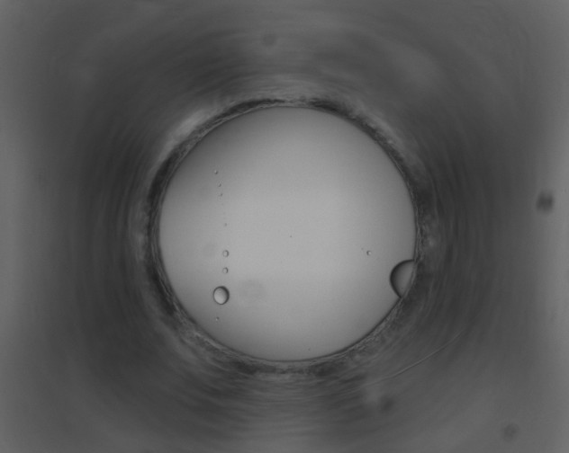 X0000095530679200712140935