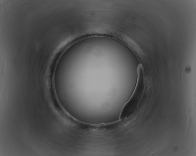 X0000095530680200712140934
