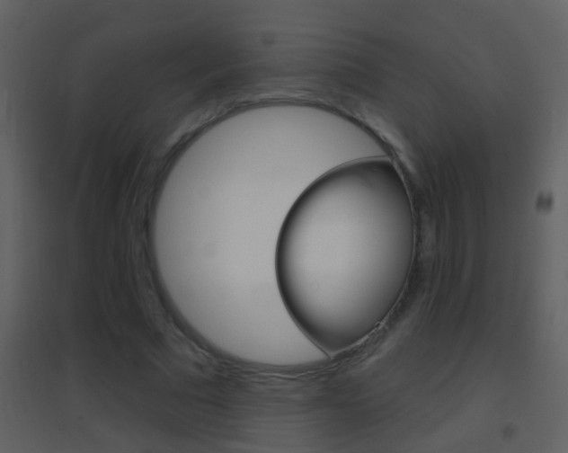 X0000095530681200712140934
