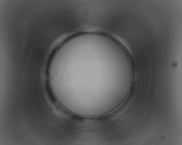 X0000095530682200712140934