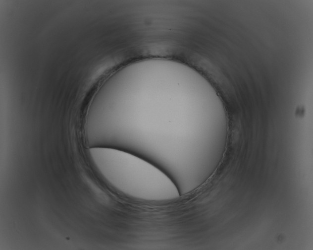 X0000095530683200712140934