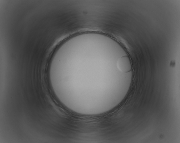 X0000095530684200712140934