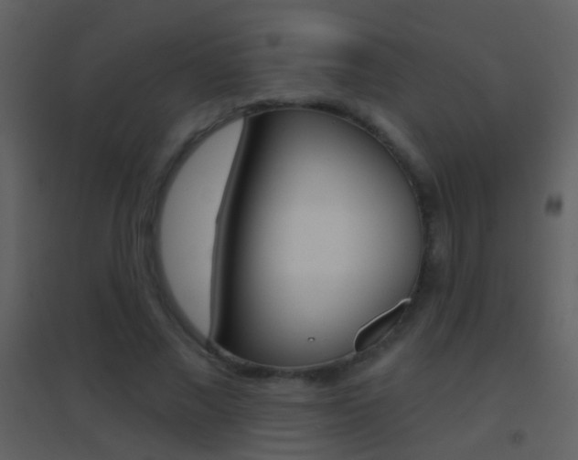 X0000095530685200712140934