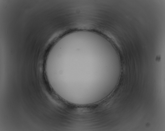 X0000095530686200712140934