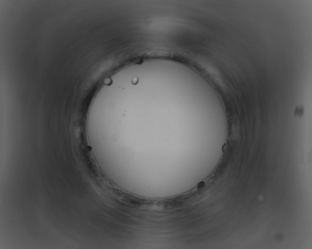 X0000095530687200712140934