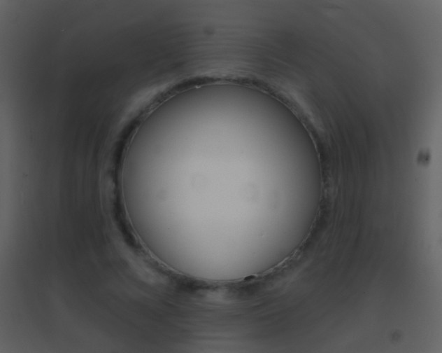 X0000095530688200712140934