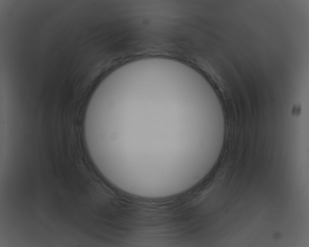 X0000095530689200712140934